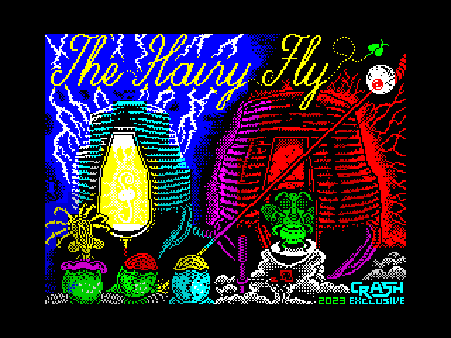 The Hairy Fly